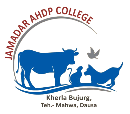 9cd475c4-7f13-4b19-adde-90f34fb3f8e9-removebg-preview