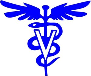 cropped-51cHzw3CHJL._AC_UF8941000_QL80_-300x251